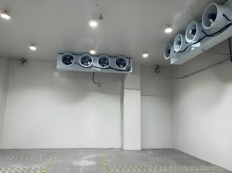 75b5f377-bc9e-420e-9b51-d57b253b9de9